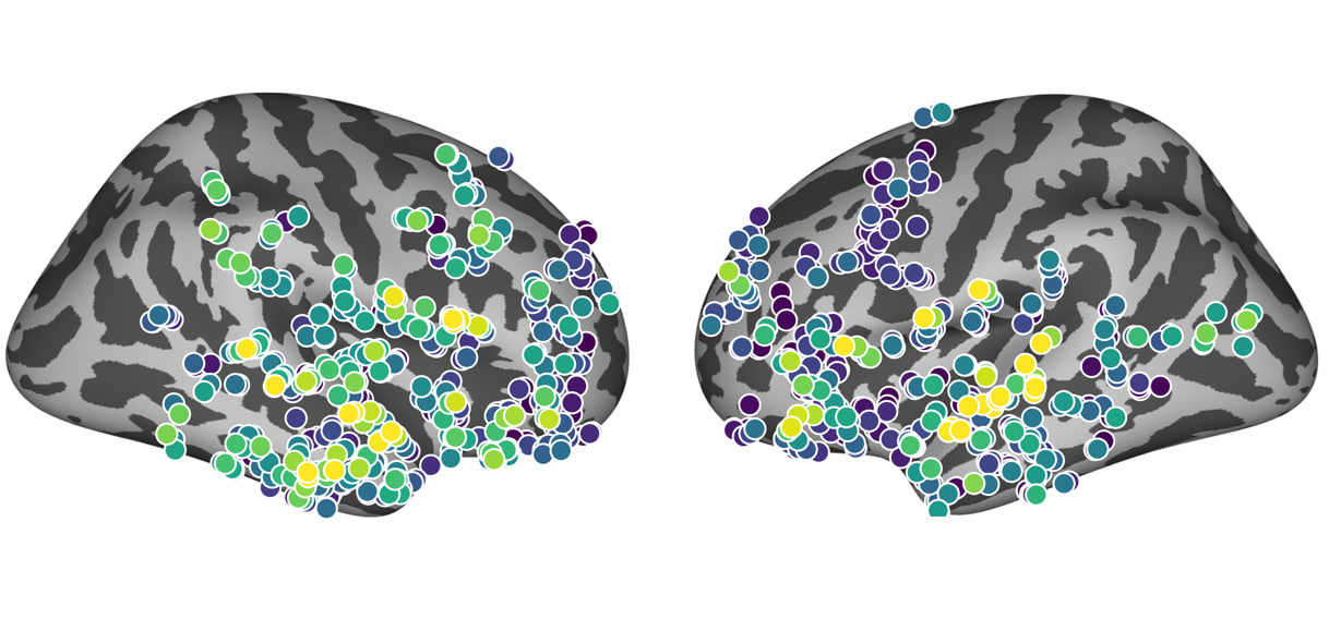 BT-bench visualization