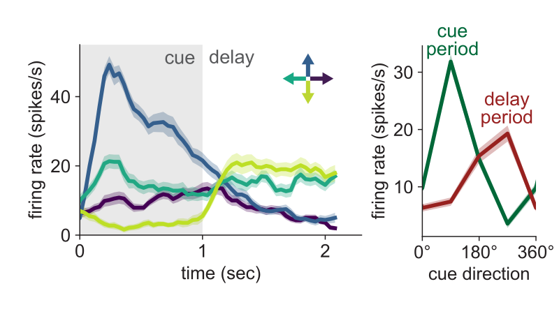 Macaque MST firing rates and cue-to-delay tuning inversion from Figure 5a