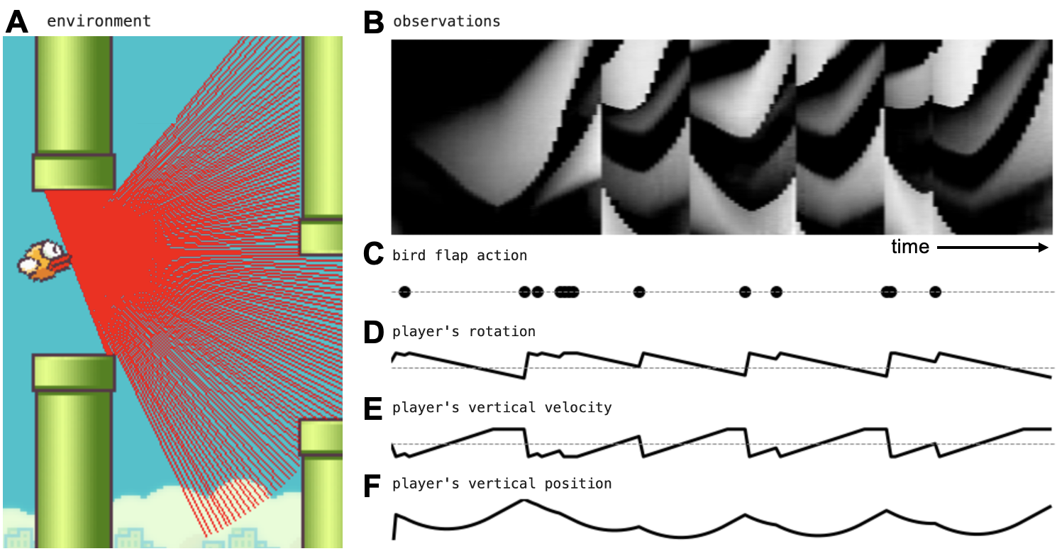 Flappy Bird environment, lidar observations, actions, and world-state features from Figure 1